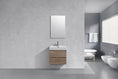 Bliss 24" Wall Mount / Wall Hung Bathroom Vanity With 2 Drawers-Bathroom & More | High Quality from Coozify